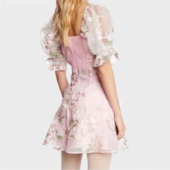 Dollz Kill X Sugar Thrillz floral embroidery mesh mini dress - Picture 4 of 9